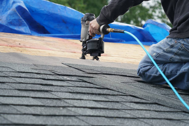 Best Roof Gutter Cleaning  in Myrtle Point, OR
