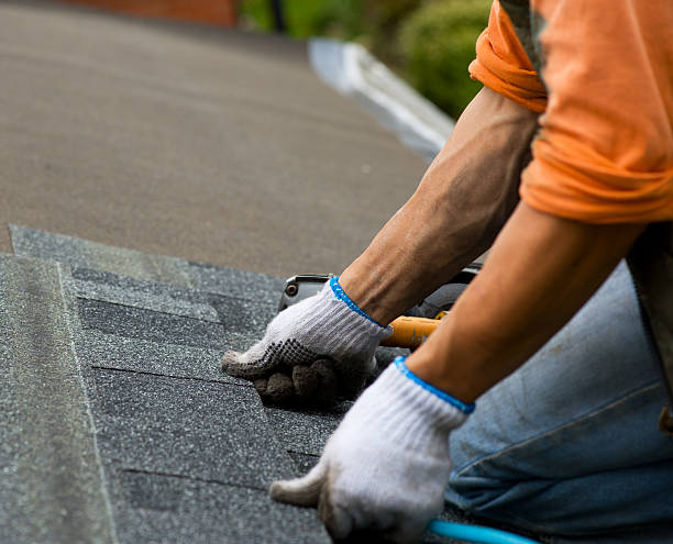 Best Metal Roofing Contractor  in Myrtle Point, OR