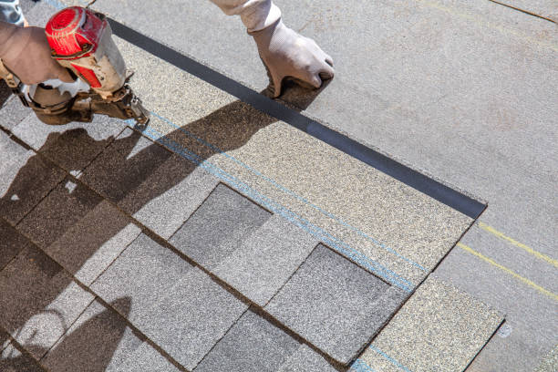 Best Roof Maintenance Services  in Myrtle Point, OR